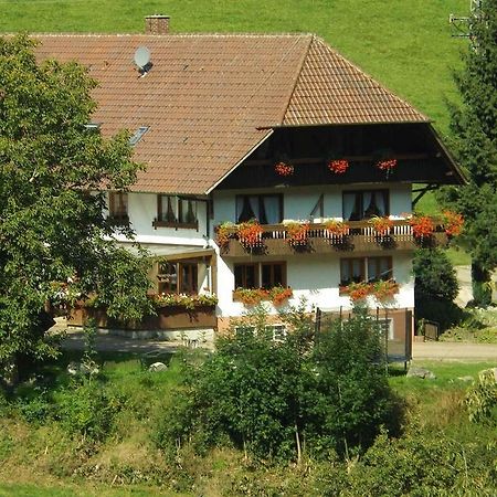 Schusselehof Apartment Oberprechtal Luaran gambar