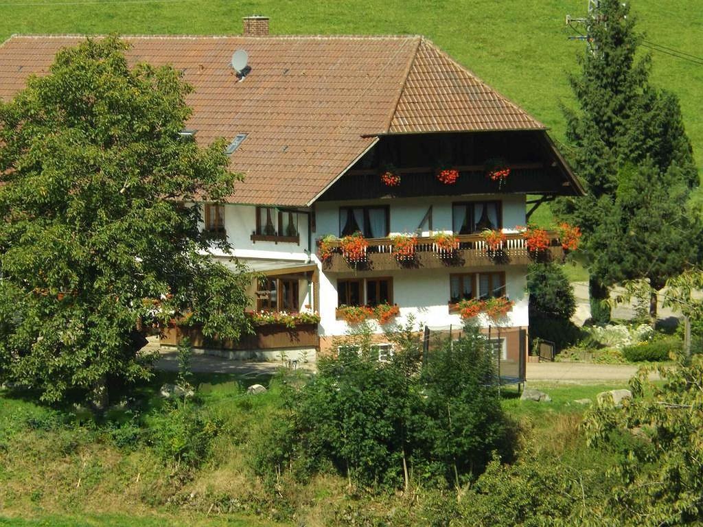 Schusselehof Apartment Oberprechtal Luaran gambar